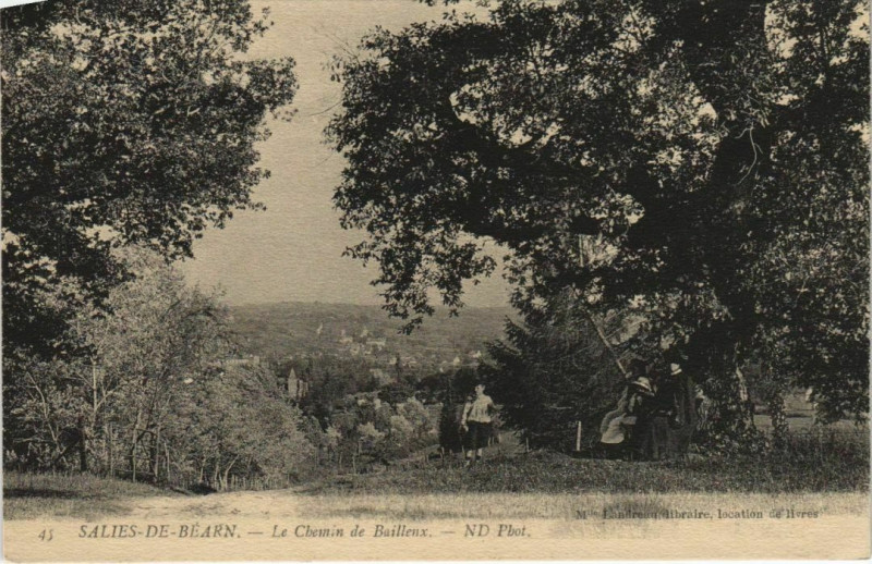 Carte postale ancienne Salies de Bearn Le Chemin de Baillenx France