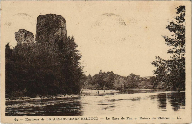 Carte postale ancienne Salies de Bearn Le Gave du Pau et Ruines France à Pau