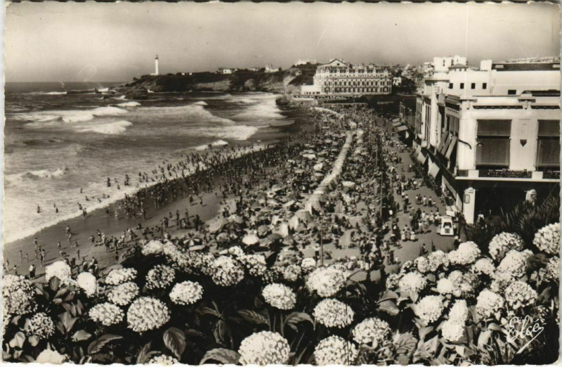 Carte postale ancienne Biarritz Les Hortensias, La Grande Plage France à Biarritz