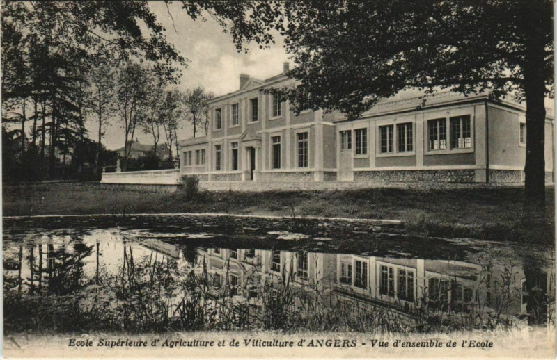 Carte postale ancienne Angers Ecole Superieure d'Agriculture France à Angers