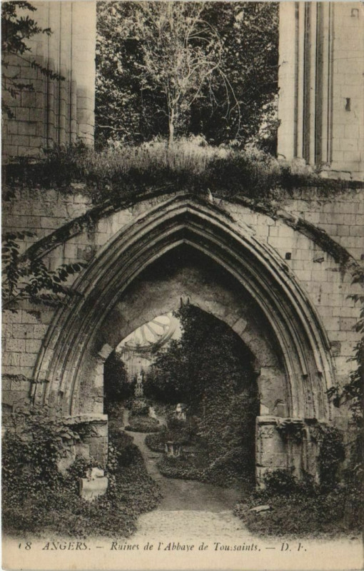 Carte postale ancienne Angers Ruine de l'Abbaye de Toussaints France à Angers