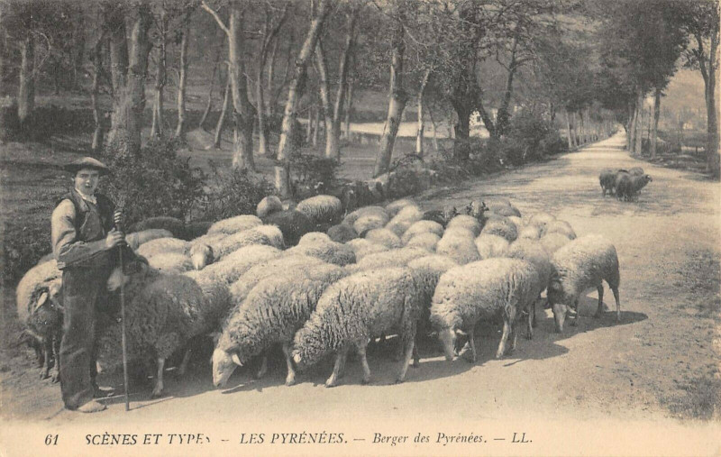 Carte postale ancienne Scenes Et Types Les Pyrenees Berger Des Pyrenees à Ger