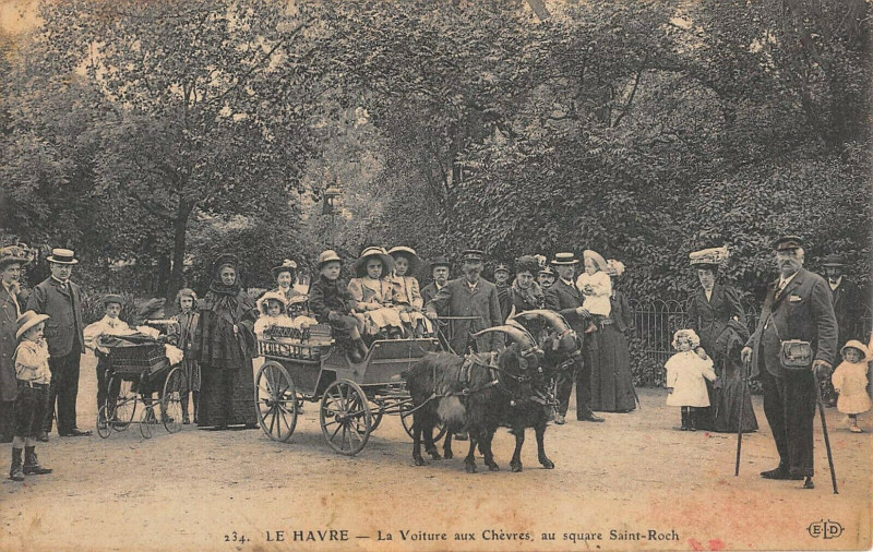 Carte postale ancienne Le Havre La Voiture Aux Chevres Au Square Saint Roch au Havre