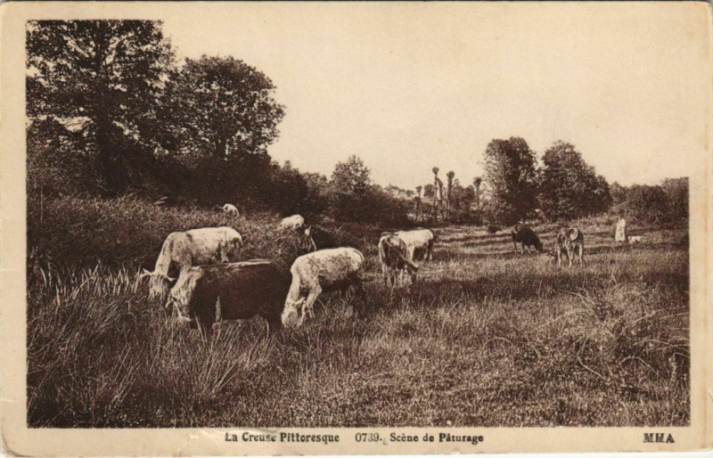 Carte postale ancienne La Creuse Pittoresque - Scene de Paturage