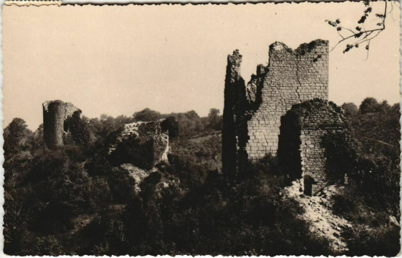 Carte postale ancienne Crozant Les Ruines à Crozant
