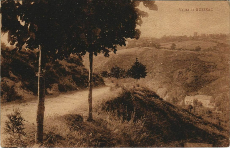 Carte postale ancienne Vallee de Busseau
