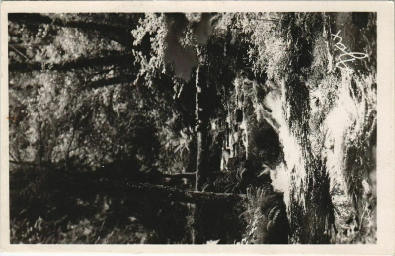 Carte postale ancienne Bourganeuf Le Verger à Bourganeuf