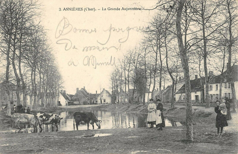 Carte postale ancienne Asnieres La Grande Aujonniere