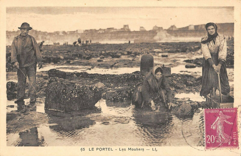 Carte postale ancienne Le Portel Les Mouhers au Portel