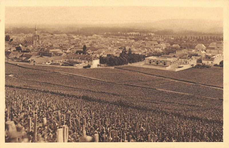 Carte postale ancienne Reims Champagne Pommery Greno Vignoble D'Ay Raisins Noirs à Reims
