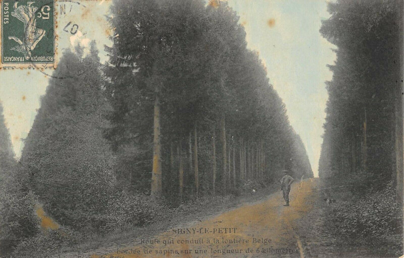 Carte postale ancienne Signy Le Petit Route Qui Conduit A La Lontiere Belge Bordee De Sapins à Signy-le-Petit