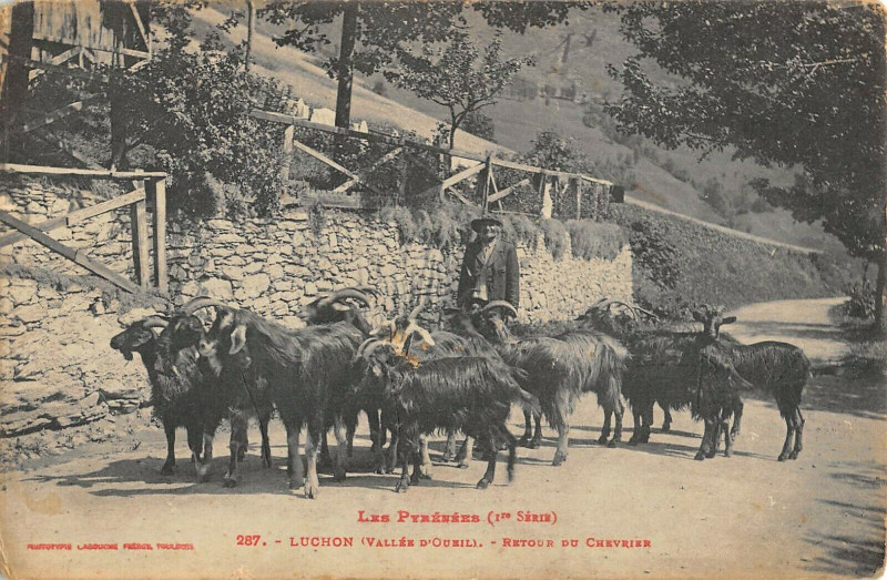 Carte postale ancienne Luchon Vallee D'Oueil Retour Du Chevrier