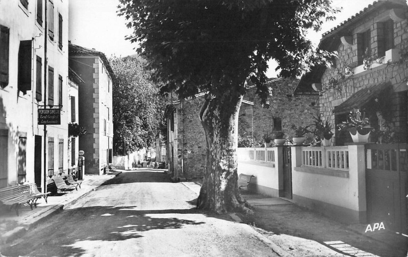 Carte postale ancienne Rennes Les Bains Avenue De Bugarach à Bugarach
