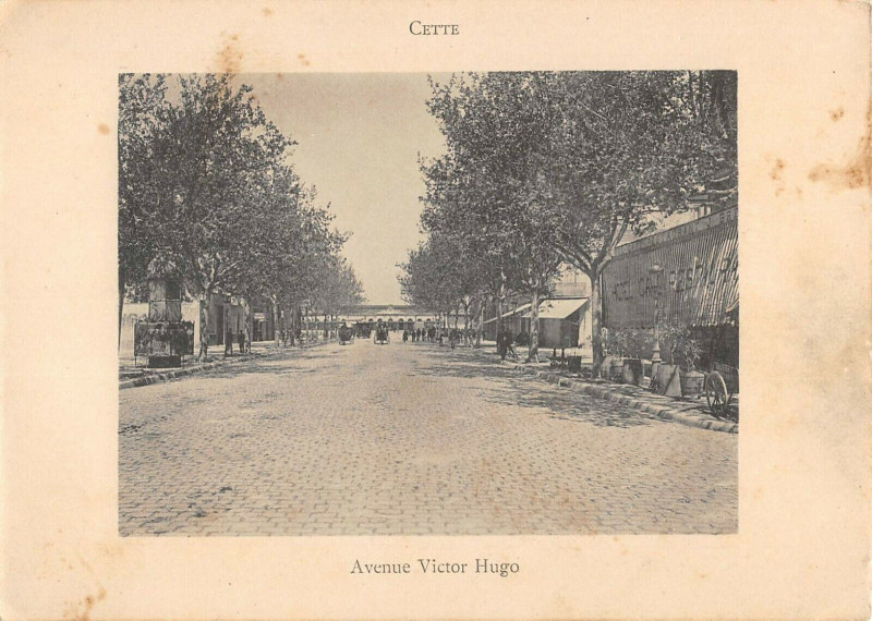 Carte postale ancienne Cette Avenue Victor Hugo ou sète à Sète