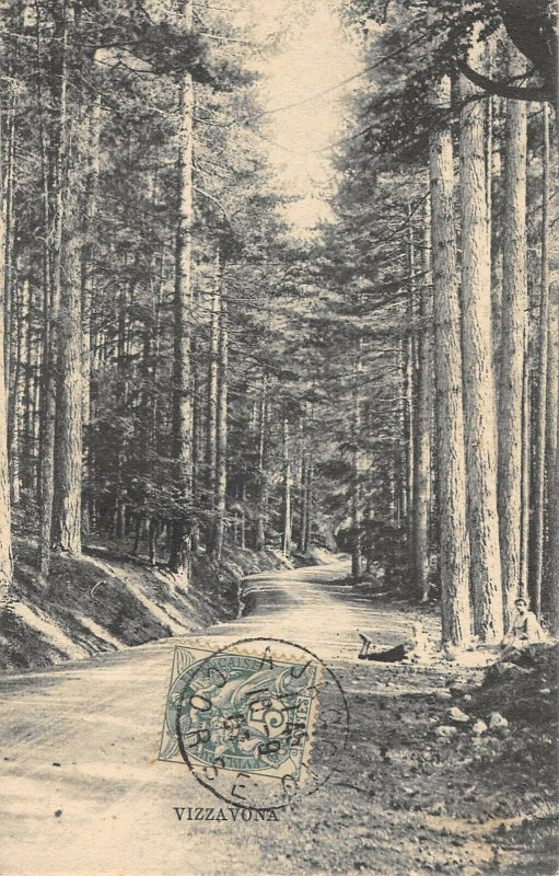 Carte postale ancienne 20 Corse Vizzavona