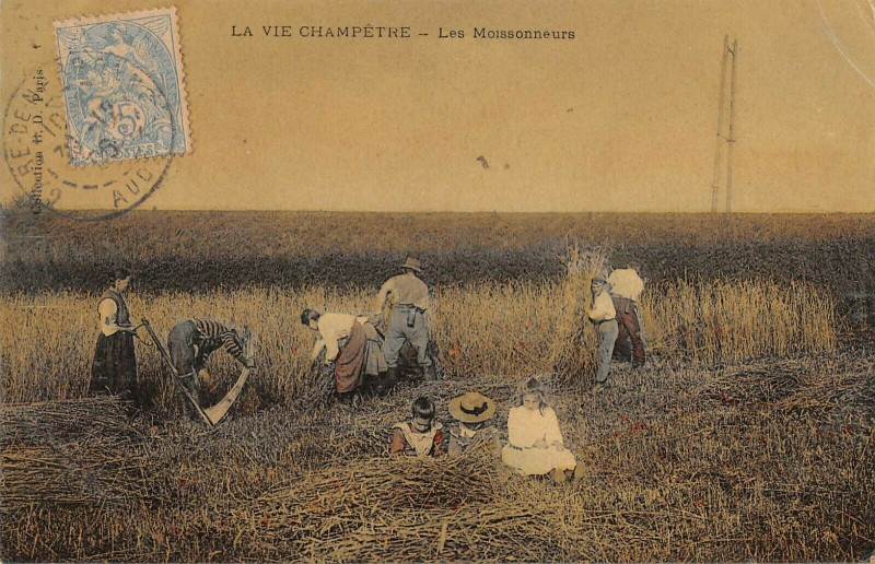 Carte postale ancienne Agriculture La Vie Champetre Les Moissonneurs