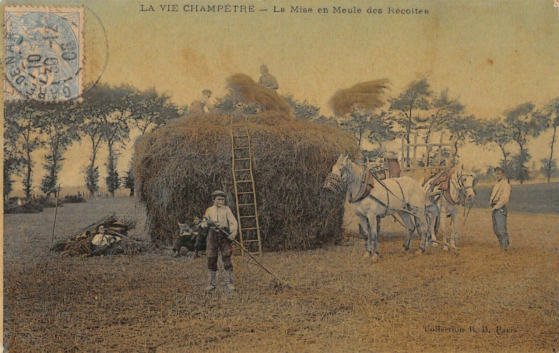 Carte postale ancienne Agriculture La Vie Champetre La Mise En Meule Des Recoltes