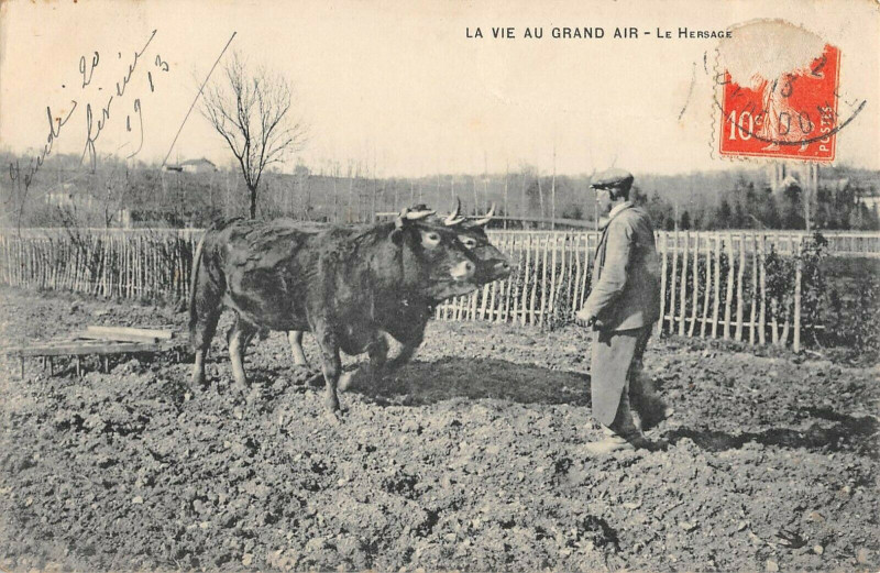 Carte postale ancienne Agriculture La Vie Au Grand Air Le Hersage