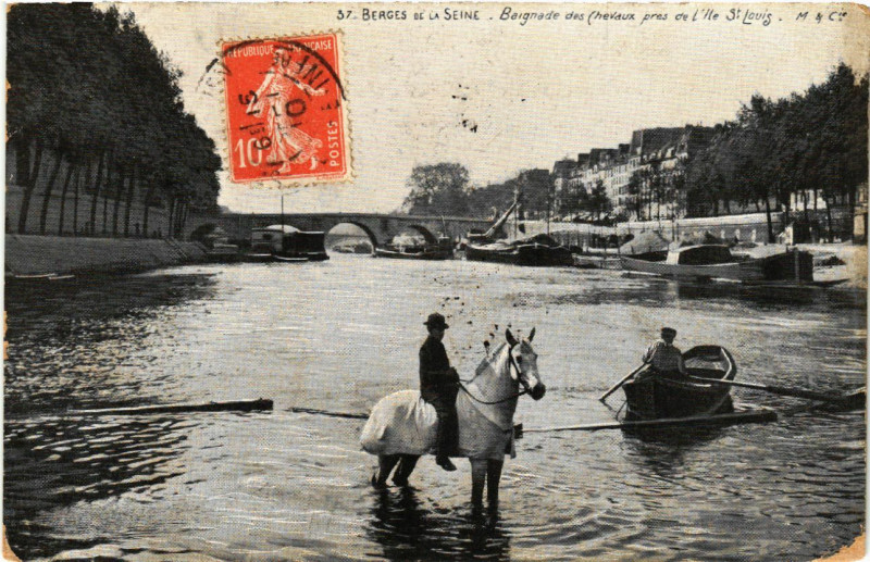 Carte postale ancienne Paris 4e Berges de la Seine. Baignade des cheveaux à Paris 4e