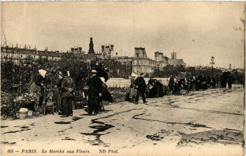 Carte postale ancienne Paris 4e Le Marché aux fleurs. à Paris 4e