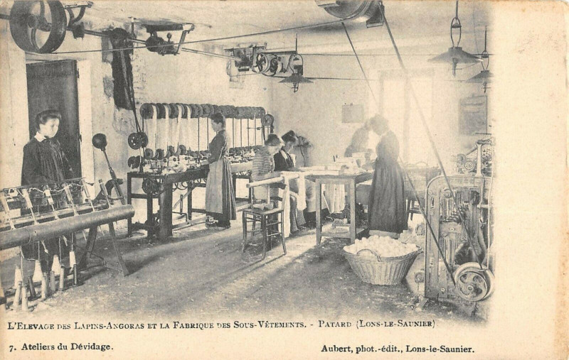 Carte postale ancienne Lons Le Saunier Elevage Des Lapins Angoras Fabrique Patard Devidage à Lons-le-Saunier