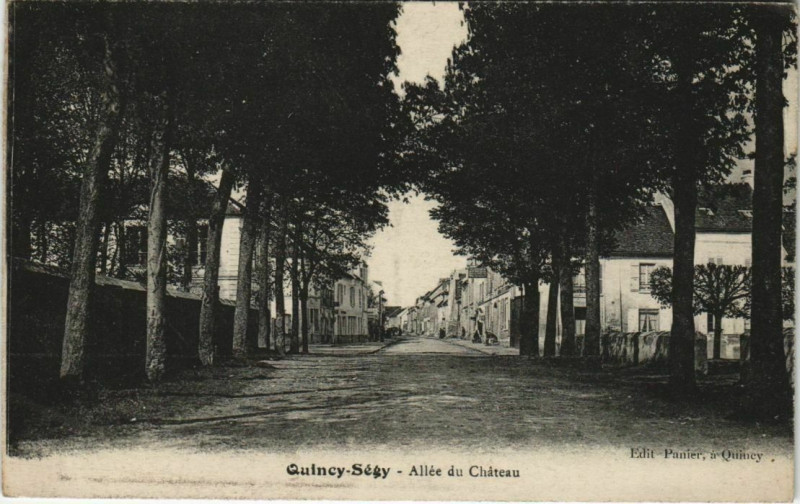Carte postale ancienne Quincy-Segy Allée du Chateau