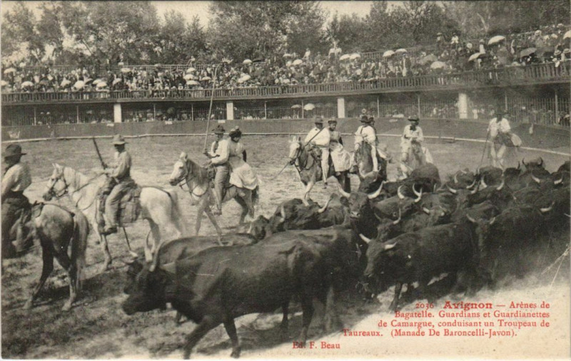 Carte postale ancienne Avignon Arenes de Bagatelle Taureaux à Avignon