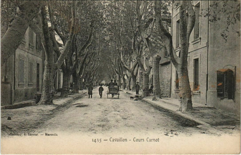 Carte postale ancienne Cavaillon Cours Carnot à Cavaillon