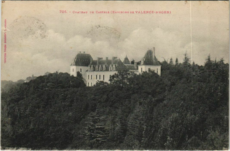 Carte postale ancienne Le Chateau de Castels