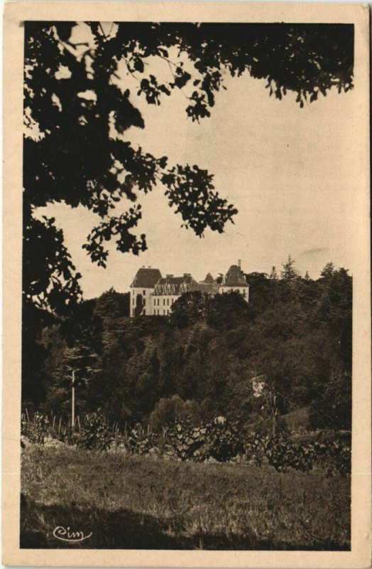 Carte postale ancienne Valence-D'Agen Le Chateau de madame Trubert à Valence