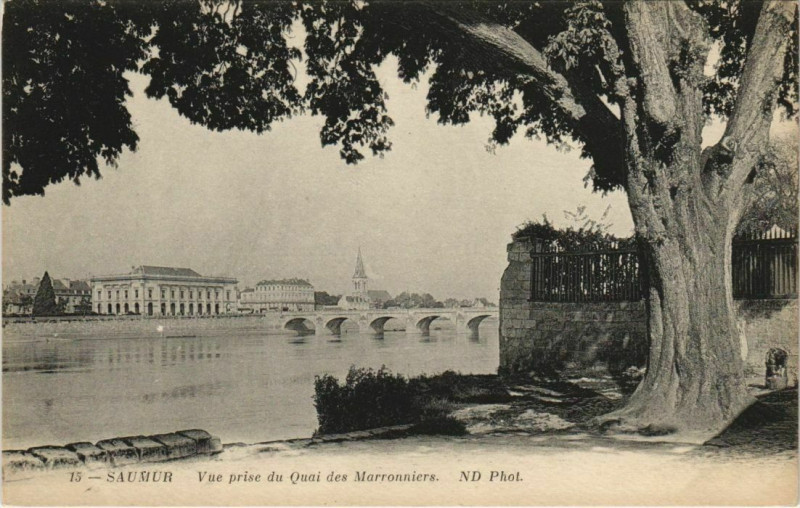 Carte postale ancienne Saumur Vue prise du Quai des marronniers à Saumur