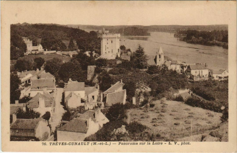 Carte postale ancienne Treves-Cunault Panorama sur la Loire