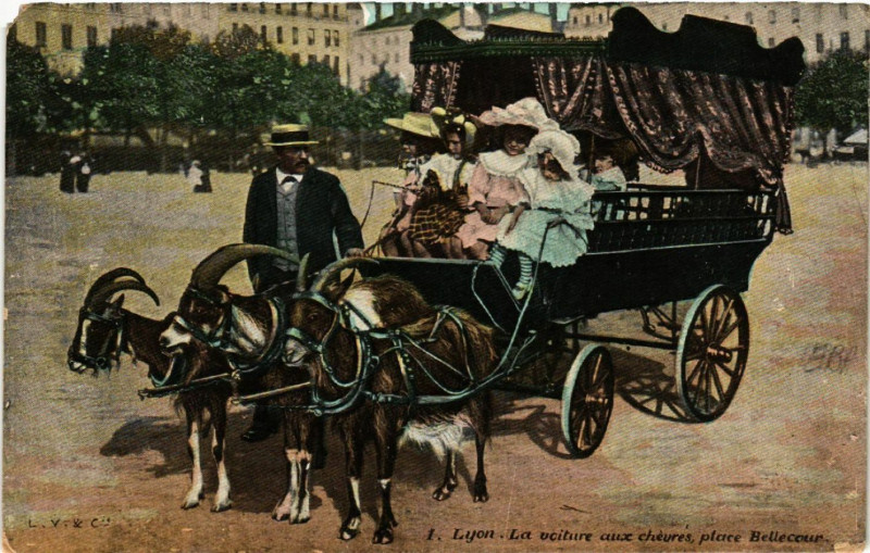 Carte postale ancienne Lyon - La voitre aux Chevres Place Bellecour à Lyon