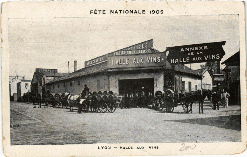 Carte postale ancienne Lyon - Halle aux Vins à Lyon
