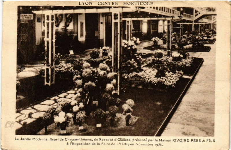 Carte postale ancienne Lyon Centre Horticole Le Jardin Moderne fleuri de Chrysanthemes à Lyon