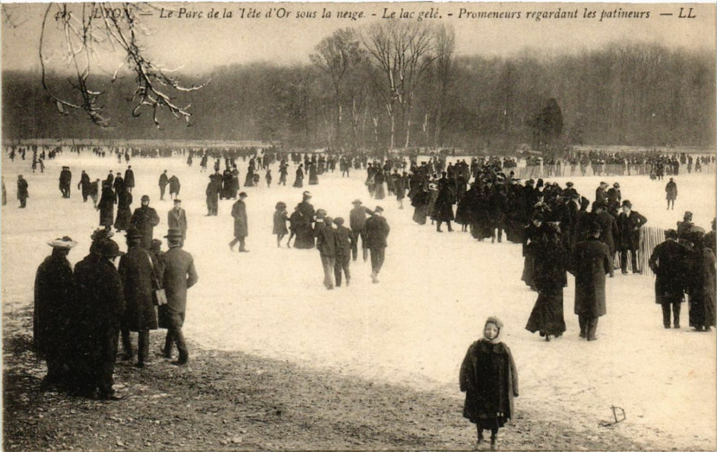 Carte postale ancienne Lyon - Le Parc de la Tete d'Or sous la neige - Le lac gele à Lyon