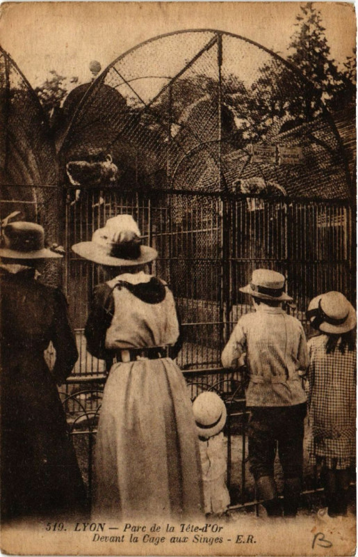 Carte postale ancienne Lyon - Parc de la Tete-d'Or à Lyon