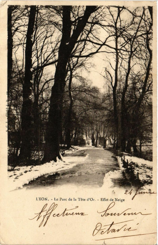 Carte postale ancienne Lyon - Le Parc de la Tete d'Or à Lyon
