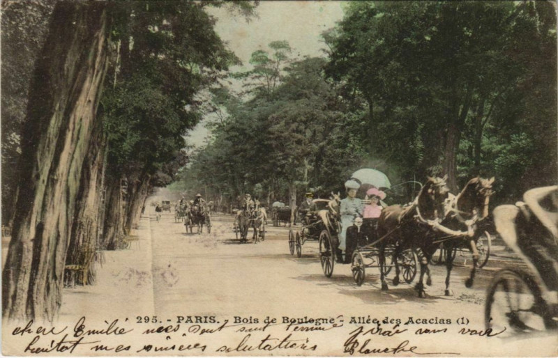 Carte postale ancienne Bois de Boulogne - Allée des Acacias à Paris 16e