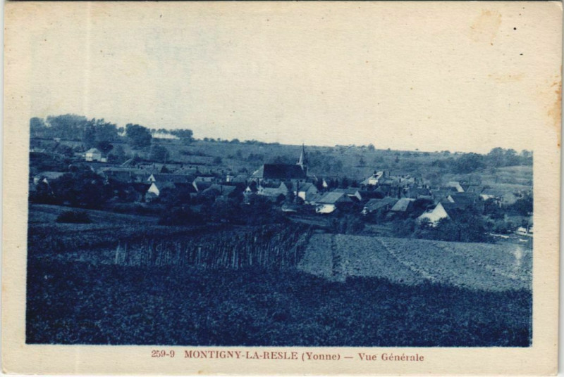 Carte postale ancienne Montigny-la-Resle Vue Generale à Montigny-la-Resle