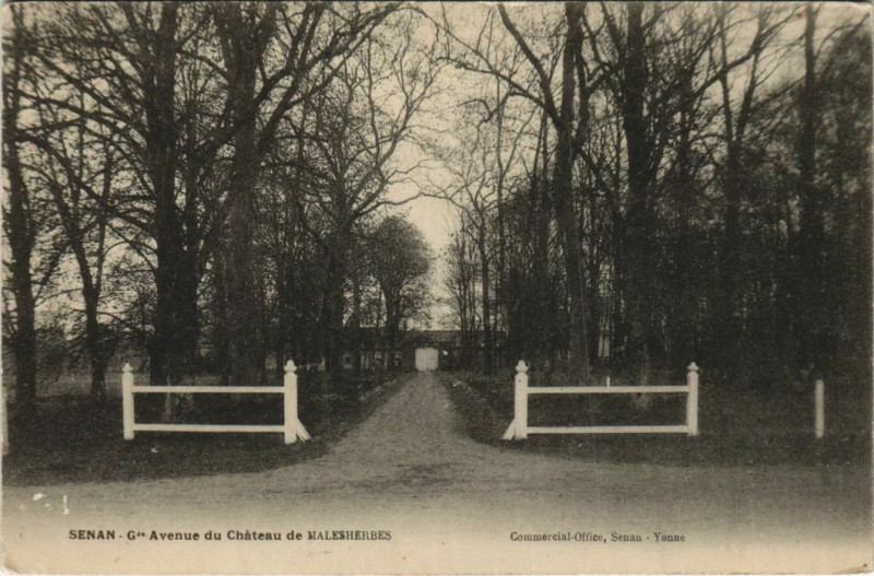Carte postale ancienne Senan Grande Avenue du Chateau de Malesherbes à Senan