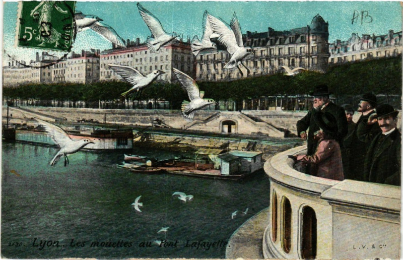 Carte postale ancienne Lyon Les Mouettes au Pont Lafayette à Lyon