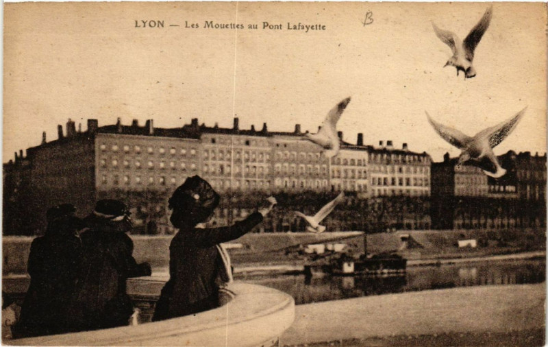 Carte postale ancienne Lyon Les Mouettes au Pont Lafayette à Lyon