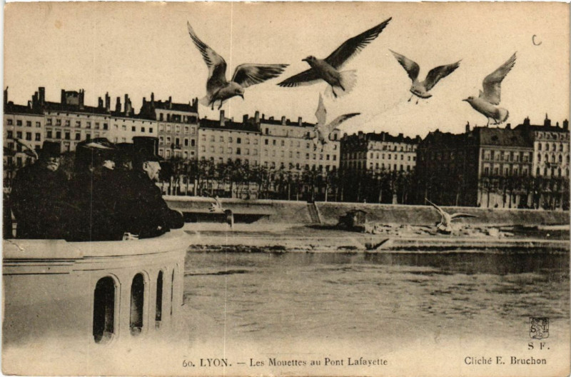 Carte postale ancienne Lyon Les Mouettes au Pont Lafayette à Lyon