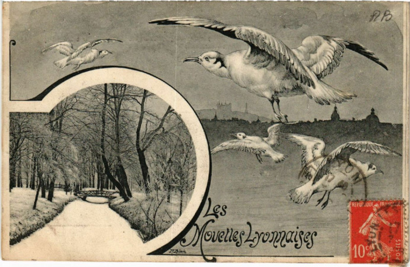 Carte postale ancienne Lyon les mouettes LYONnaises à Lyon