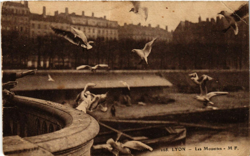 Carte postale ancienne Lyon Les Mouettes à Lyon