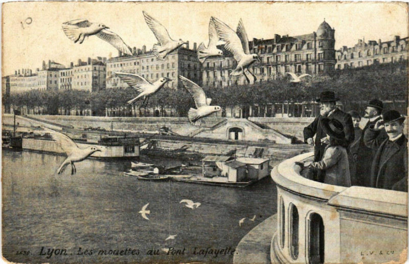Carte postale ancienne Lyon Les Mouettes au Pont Lafayette à Lyon