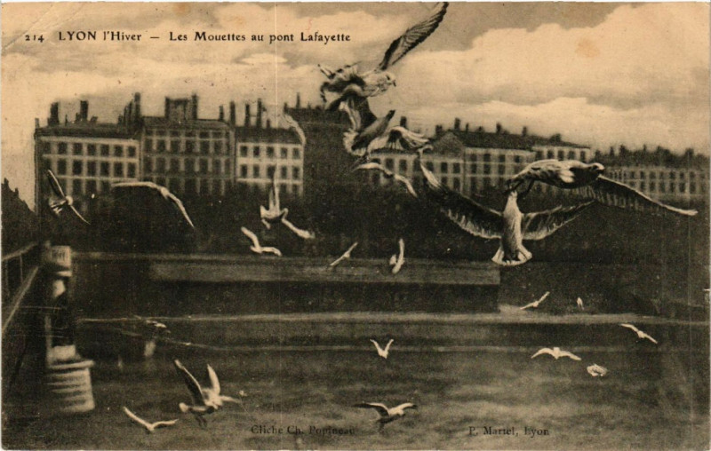 Carte postale ancienne Lyon l'Hiver Les Mouettes au Pont Lafayette à Lyon