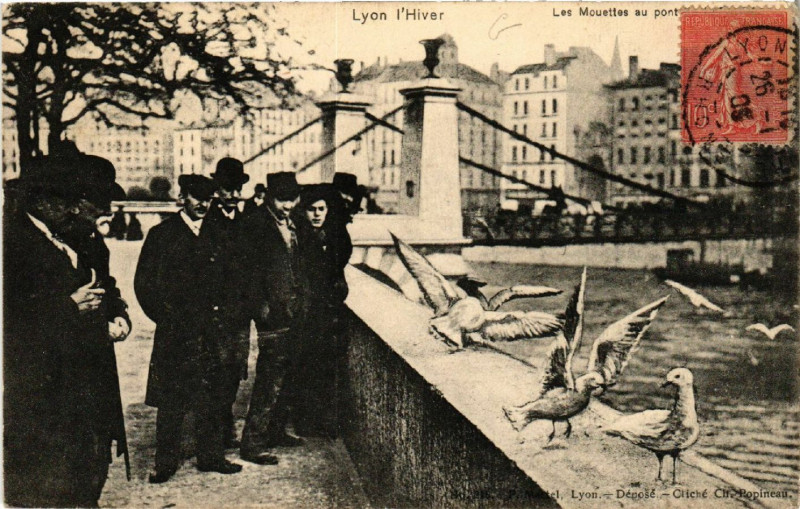 Carte postale ancienne Lyon l'Hiver Les Mouettes au Pont Lafayette à Lyon