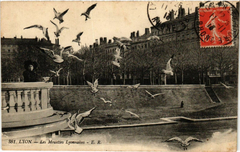 Carte postale ancienne Lyon Les Mouettes LYONnaises à Lyon